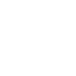 v0.png
